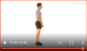 Bilde av øvelse for fleksjon, stående (17) - Klikk for å se videoinstruksjon på Exorlive.com sine egne sider