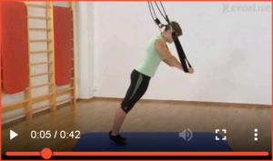 Bilde av øvelsen "Stabilisering av rygg med slynge" (2) - Klikk for å se videoinstruksjon på Exorlive.com sine egne sider