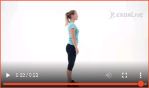 Bilde av øvelse for bryst og skuldre (3) - Klikk for å se videoinstruksjon på Exorlive.com sine egne sider